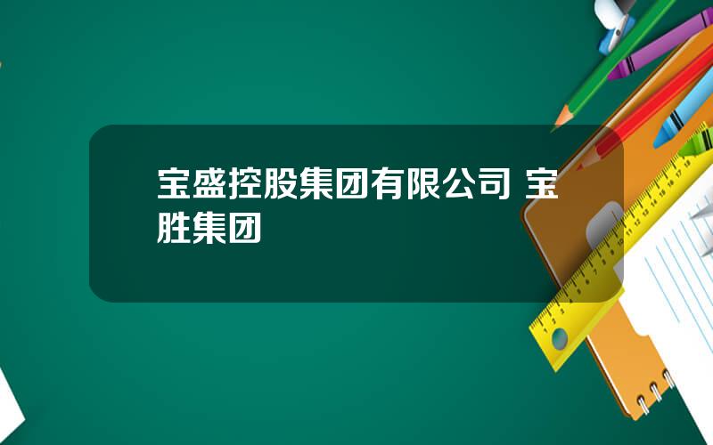 宝盛控股集团有限公司 宝胜集团
